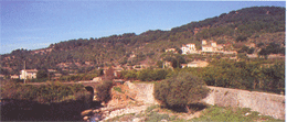 vista