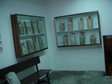 El Museu de Ca’n Xoroi obri les portes