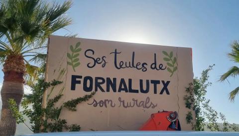 Ses teules de Fornalutx