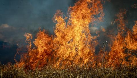 incendi
